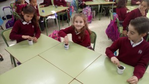 1B (2)