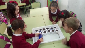 1B (6)